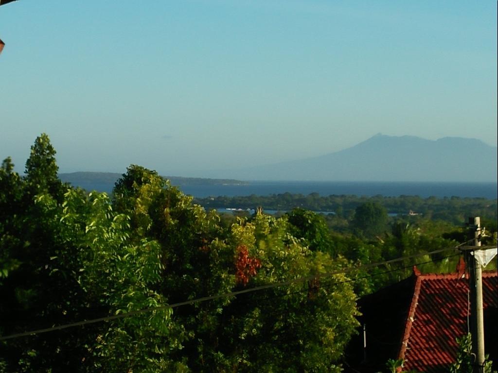 Bed and Breakfast Menjangan View Banyuwedang Exterior foto